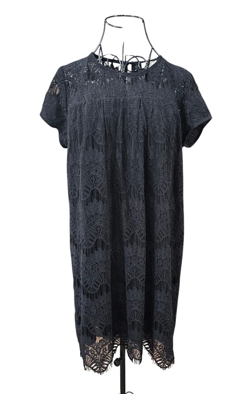 Rebellion Lace Black Shift baby Doll Dress Size L